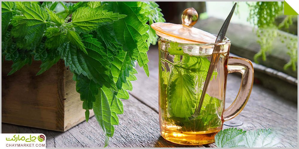طرز تهیه چای گزنه