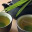 رتبه چای سبز در سال 2021