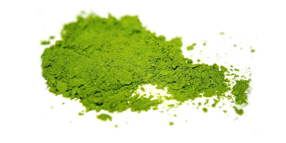 چای سبز ماچا چیست؟