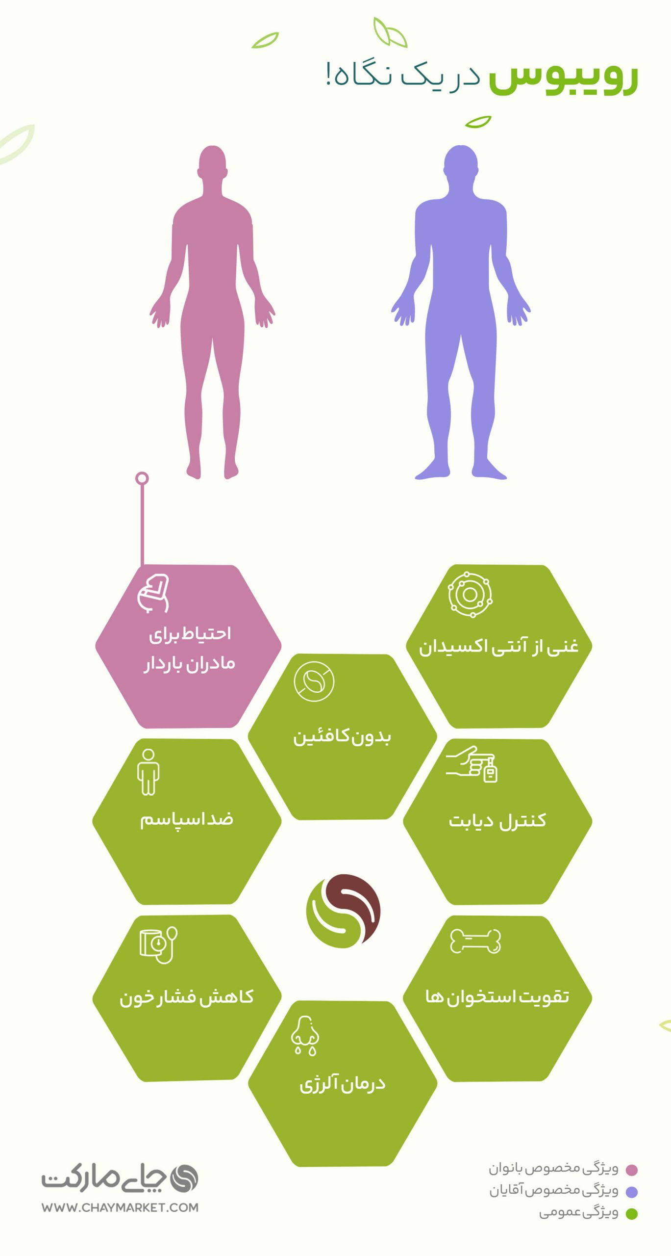 اینفوگرافیک خواص چای رویبوس