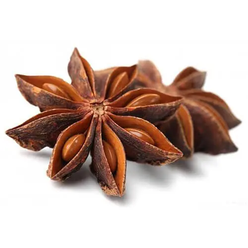 بادیان ختایی